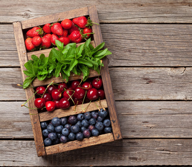 erdbeeren-minze-balubeeren-kirschen