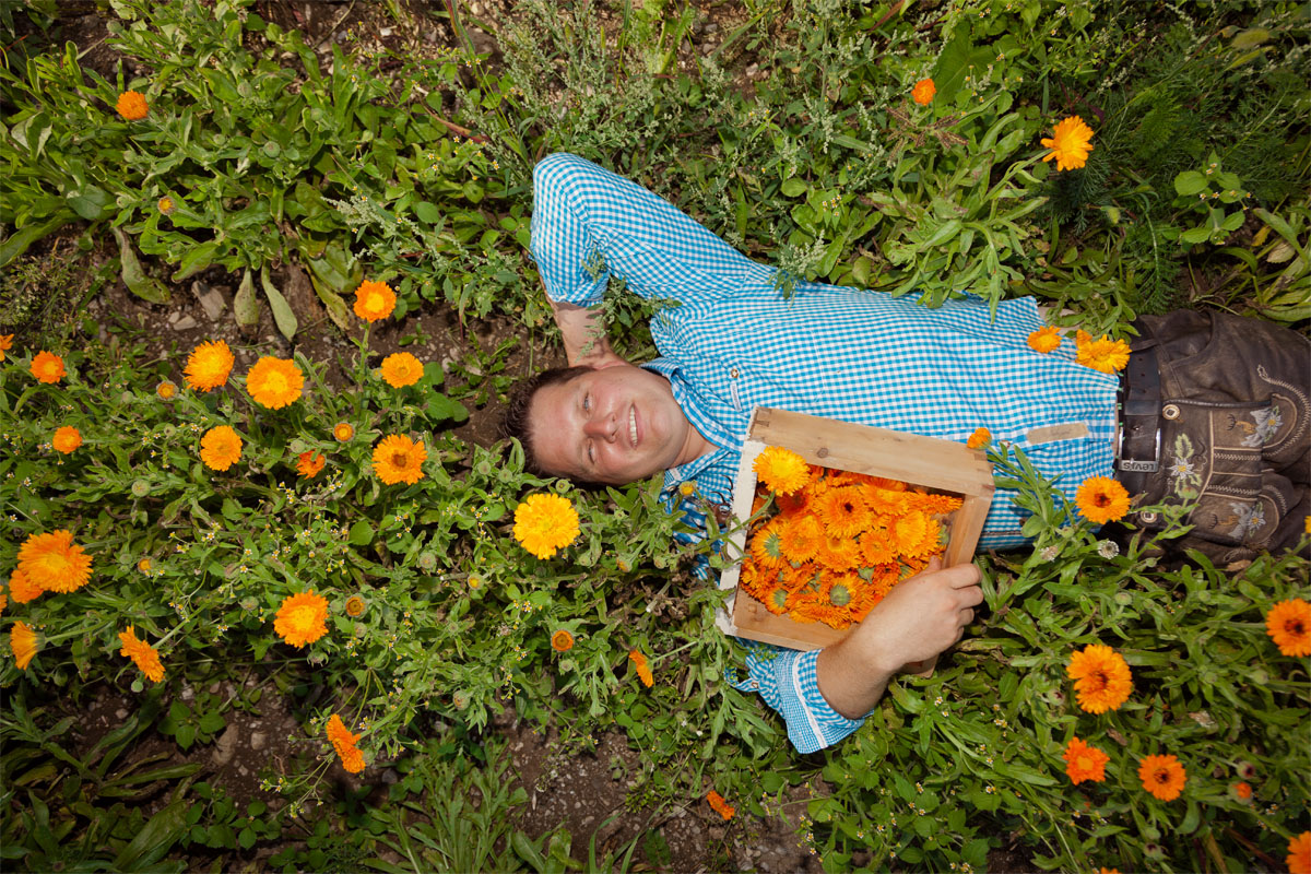 blumenmeer-martinzen-bauer